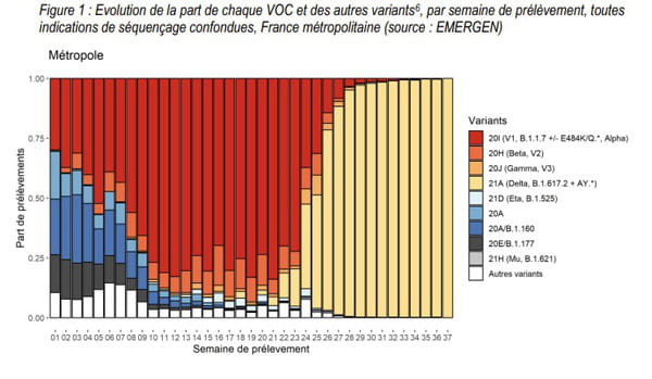 Evolution de la part de chaque VOC et des autres variants en France