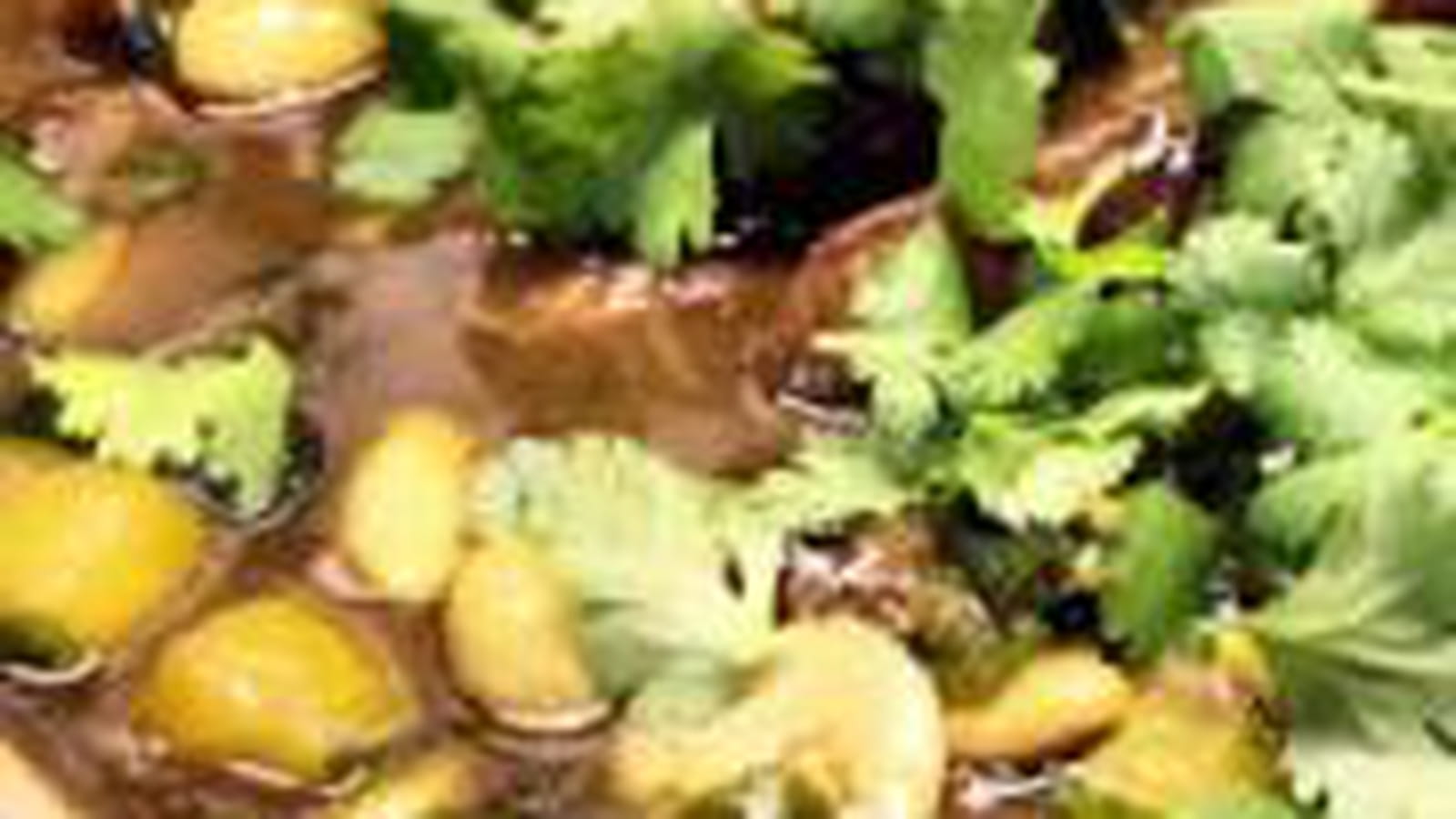Magret de canard, concombre