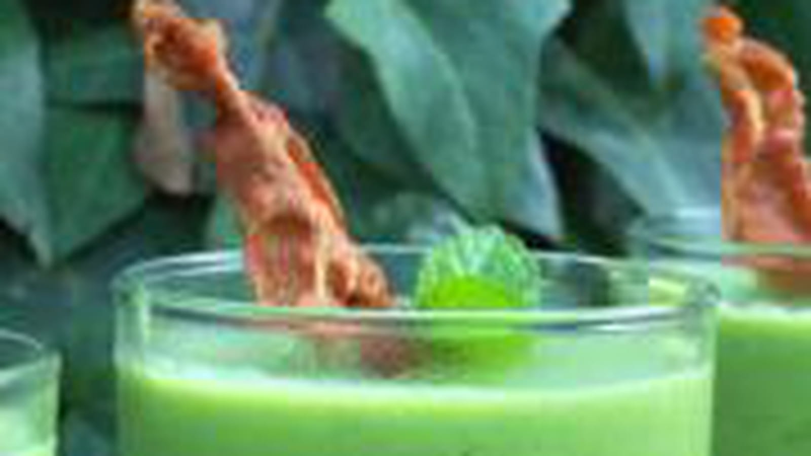 Panna cotta de petits pois