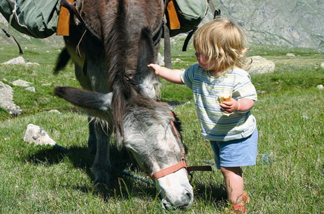 Randonner en famille avec un &acirc;ne