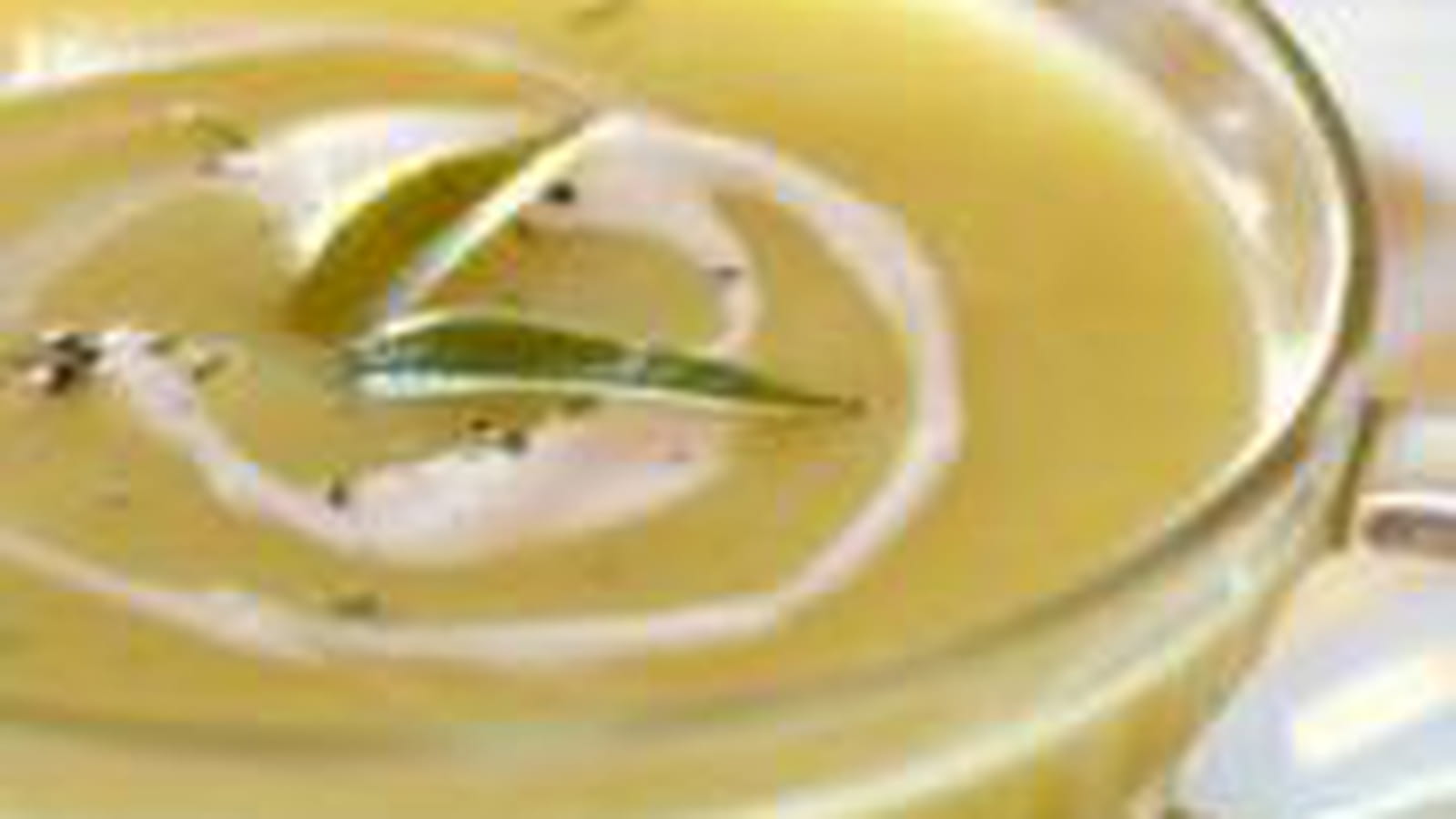 Velouté de pâtisson au curry et au gingembre
