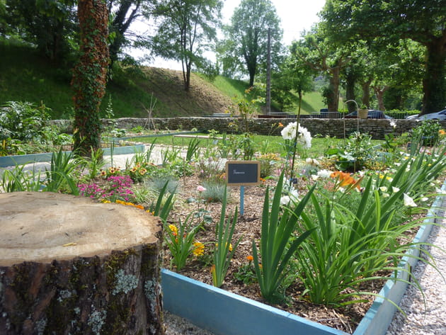 Un jardin fait de bric et de broc