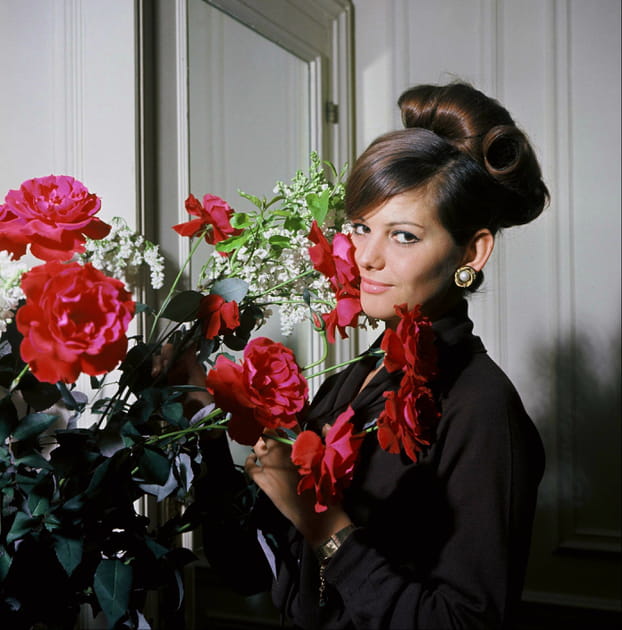 Jolie comme une fleur