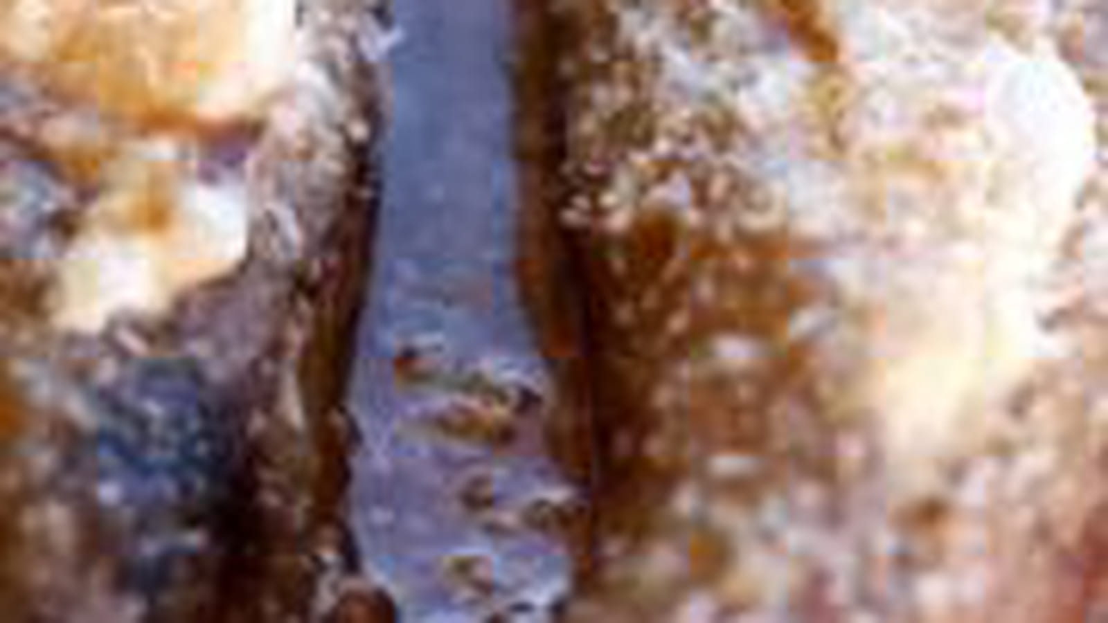 Banane flambée au rhum