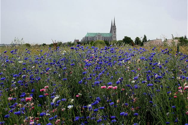 C&ocirc;t&eacute; nature