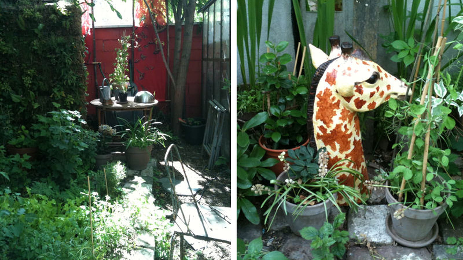 Jardin de Camille They