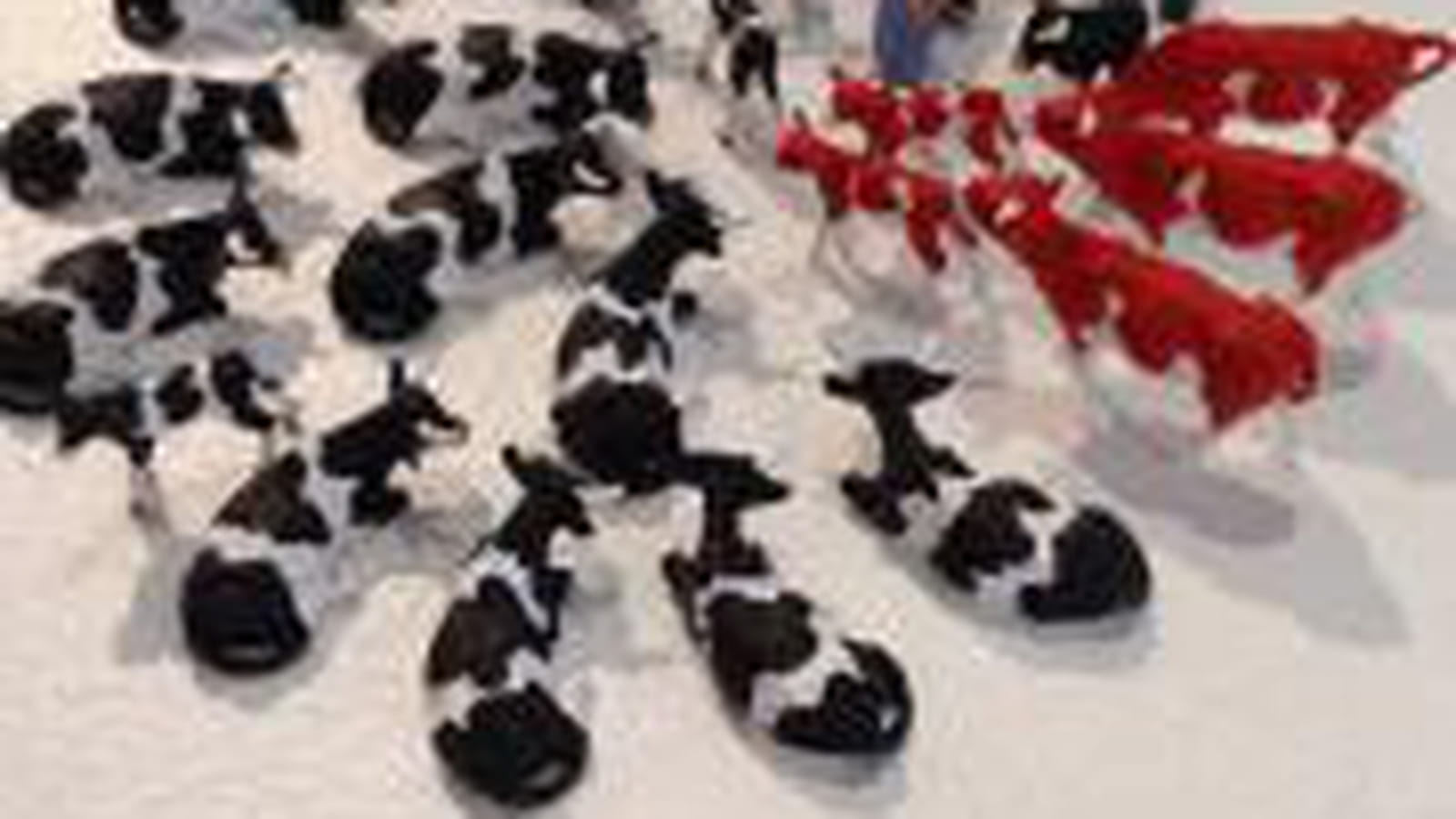 Prairie des vaches