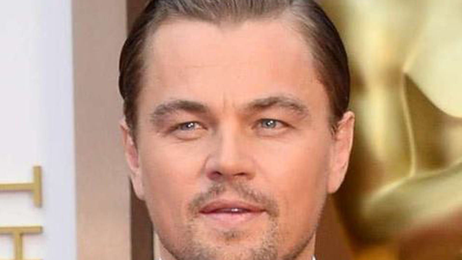Leonardo DiCaprio 