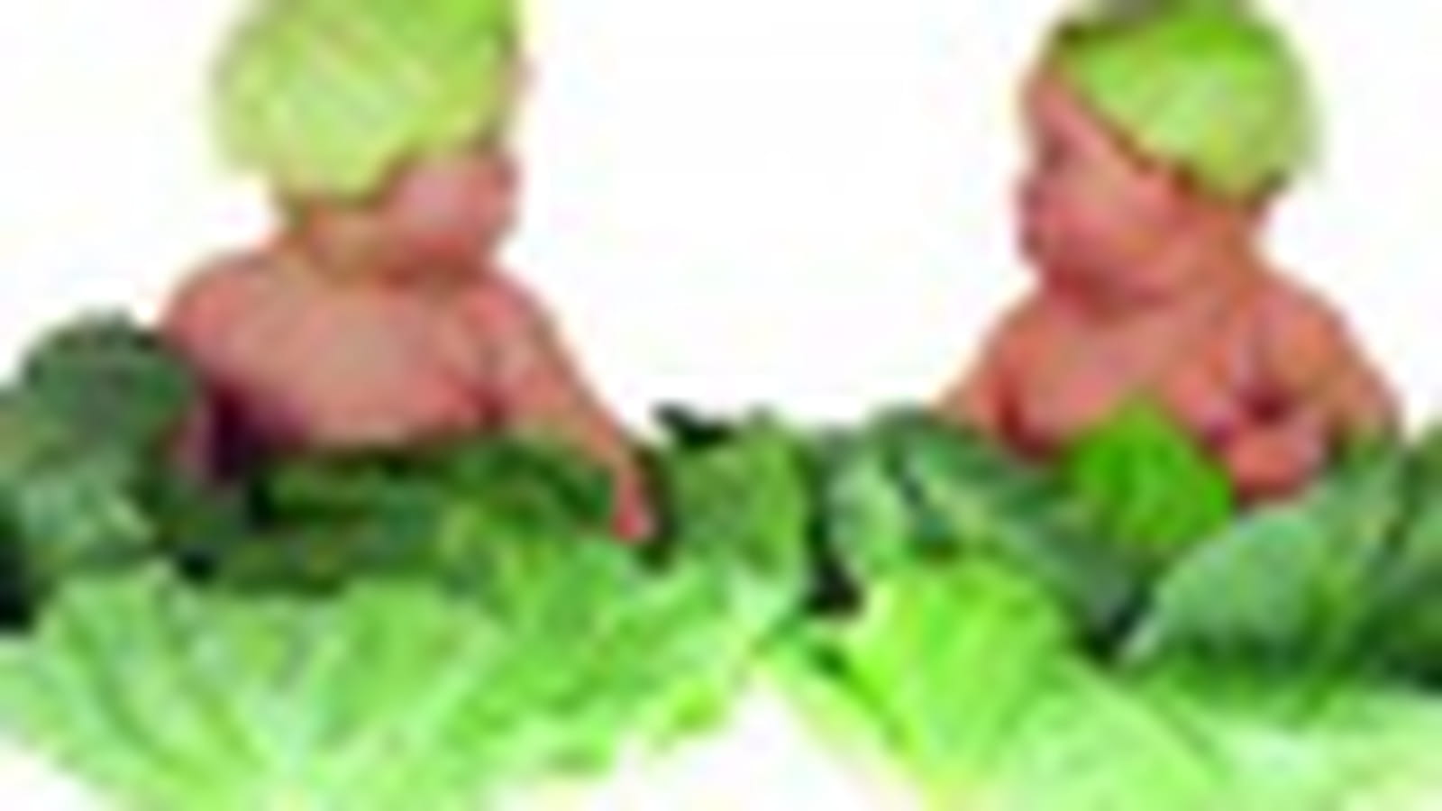 Bébés choux