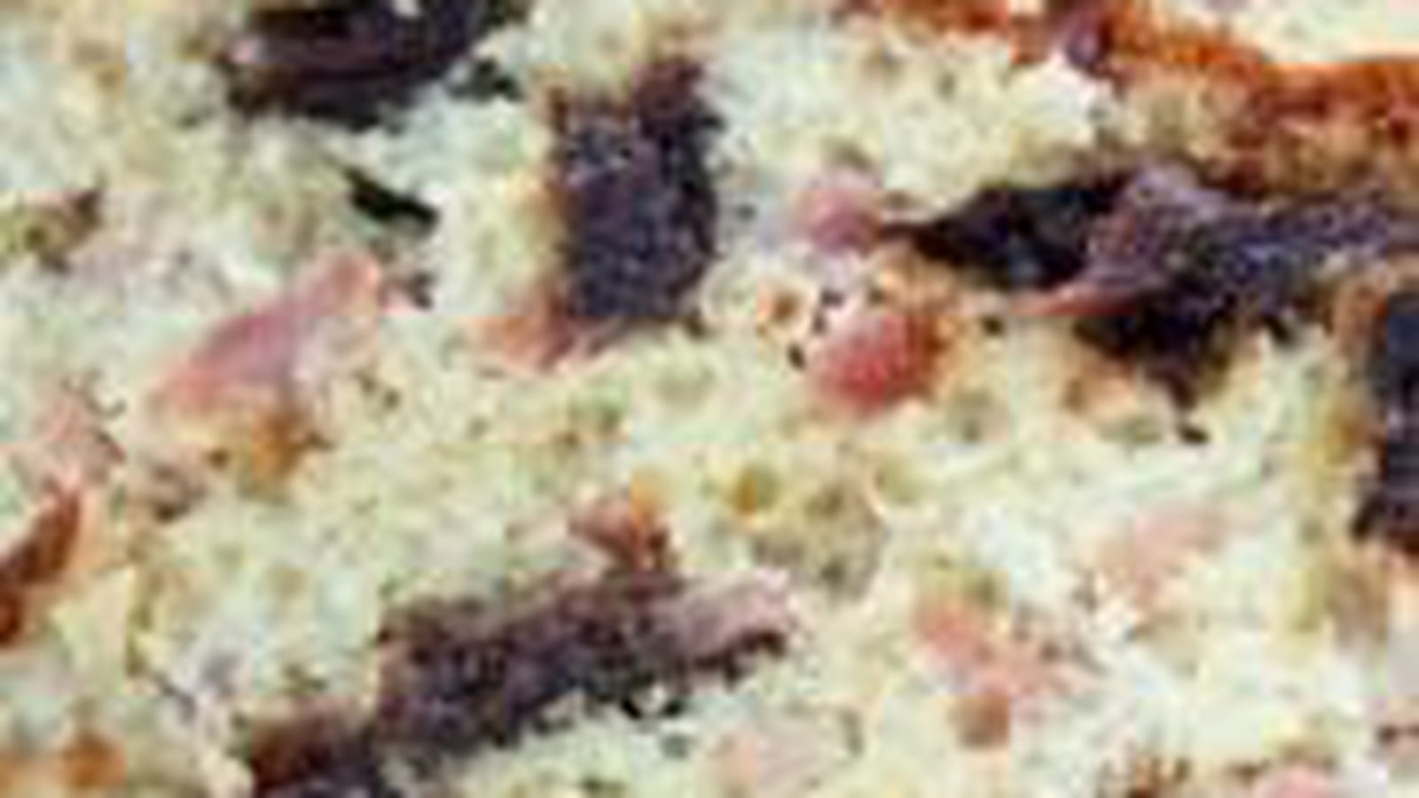 Lardons-pruneaux-pignons