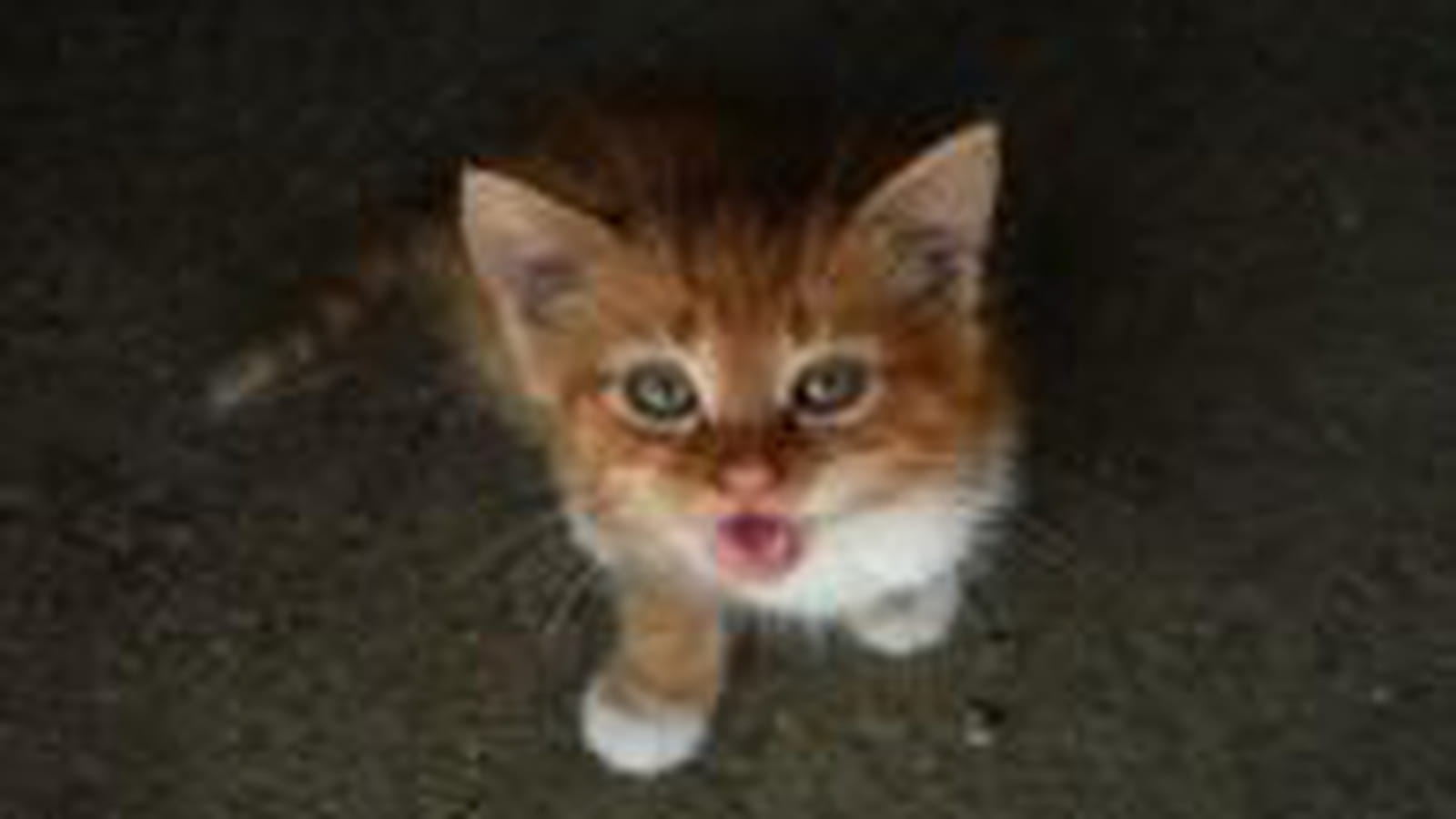 Caramel