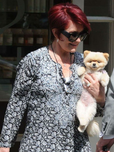 Sharon Osbourne et son adorable petit chien