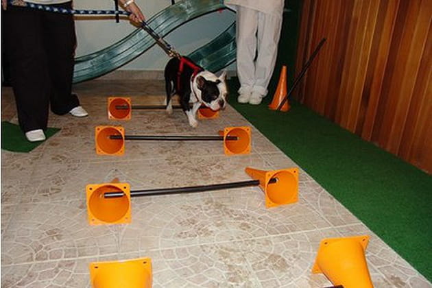 Besoin de conseils&nbsp;?