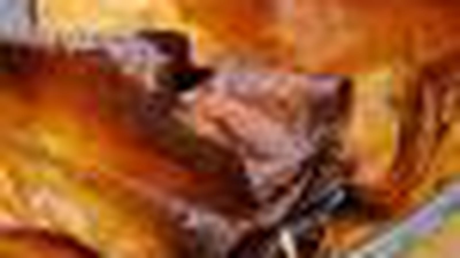Pastis gascon