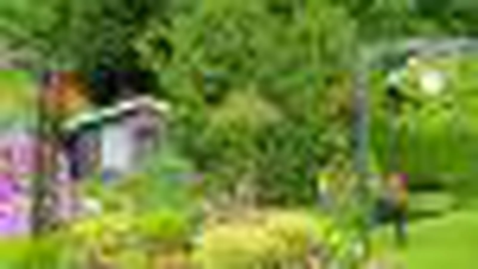 Jardin de Franci