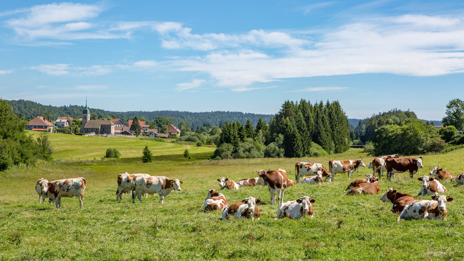 Au pays du comté
