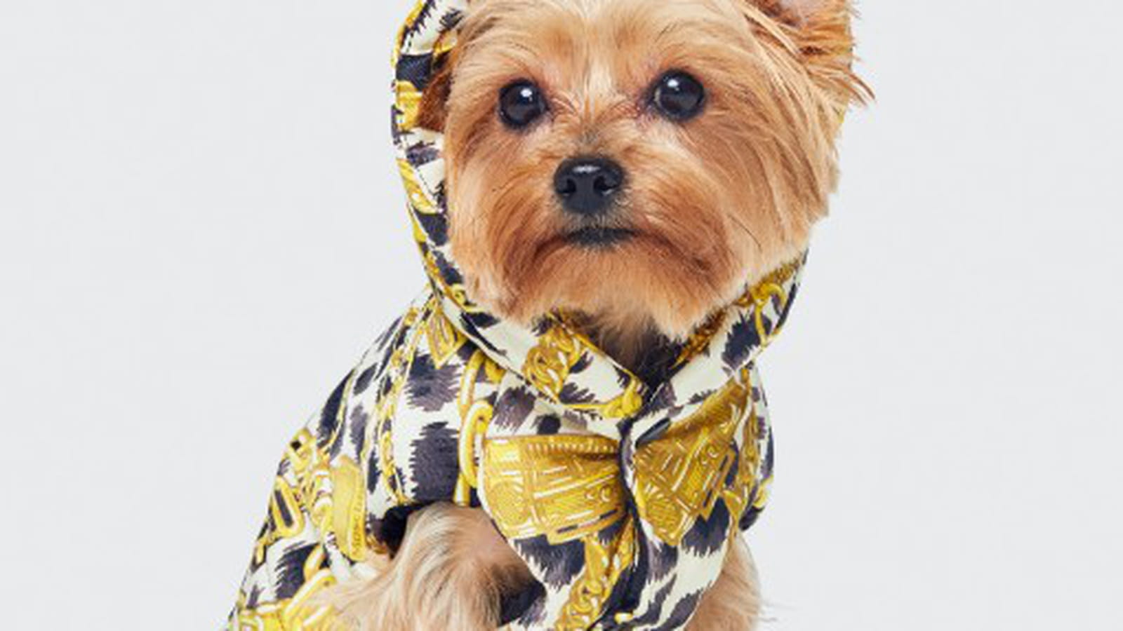 MOSCHINO [tv] H&M - 51/53