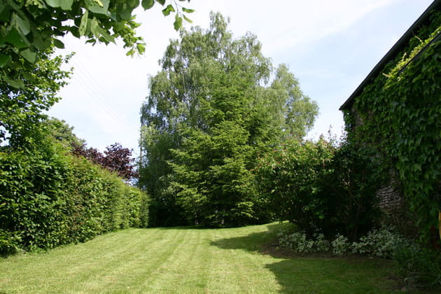 Une pelouse parfaite