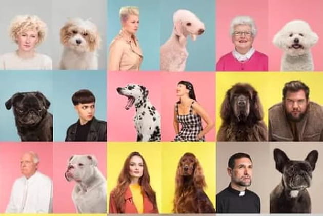 Ces chiens ressemblent comme deux gouttes d'eau à leur maître