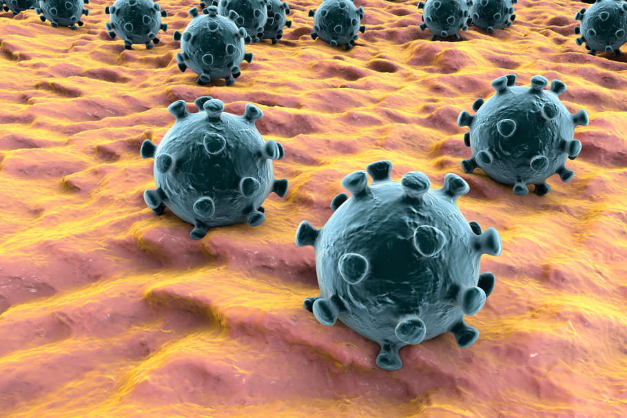 Variant brésilien du Covid : plus résistant aux vaccins ?