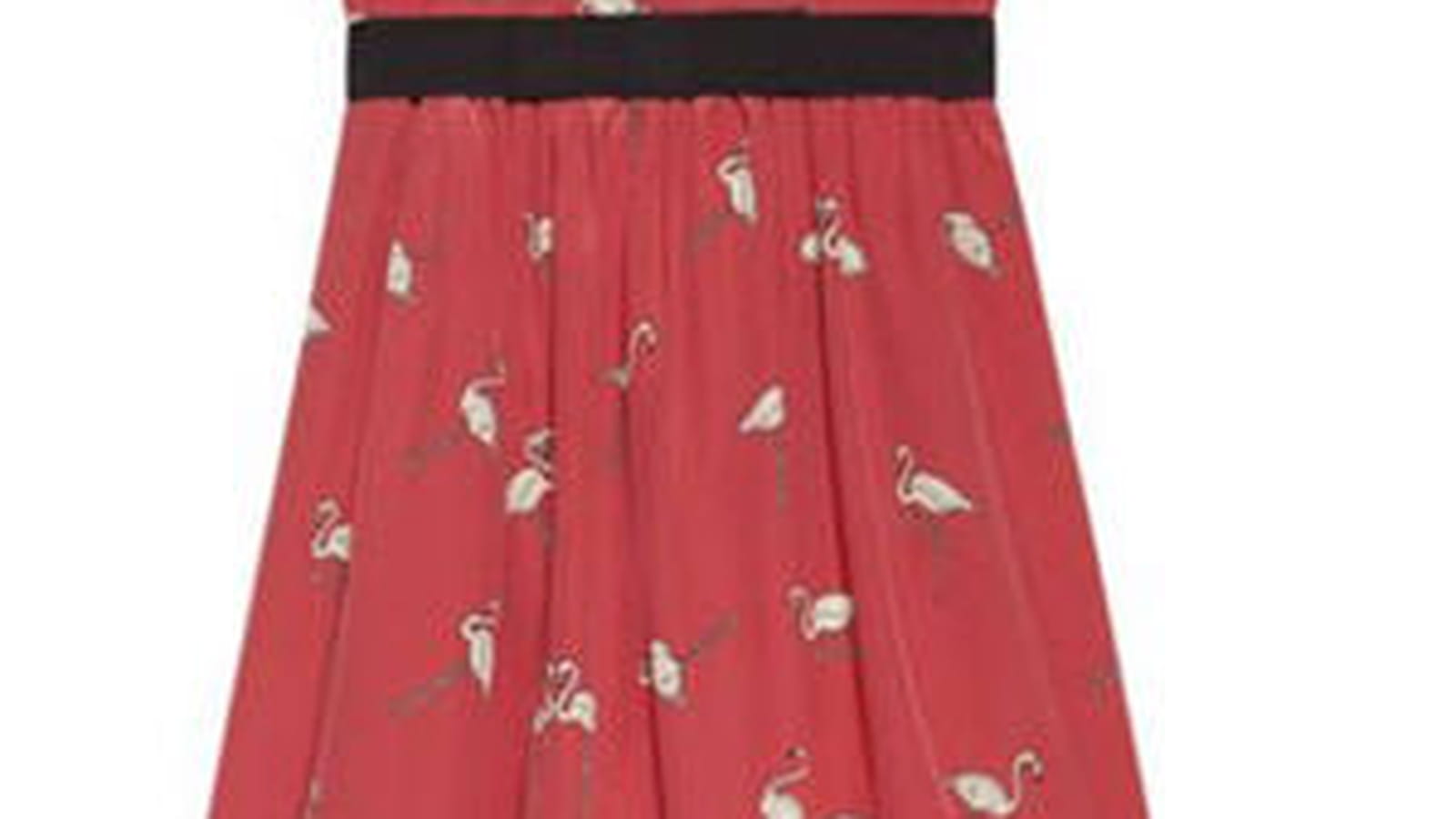 Flamants, oiseaux & Co