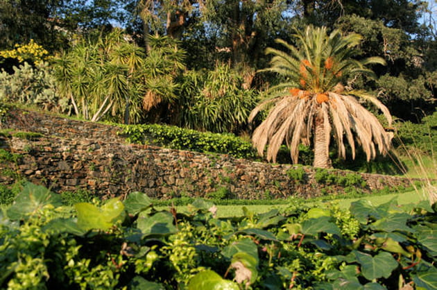 V&eacute;g&eacute;tation en terrasses
