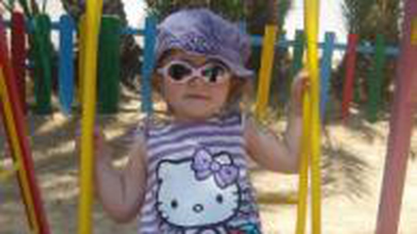 Petit chaton s'amuse à la plage