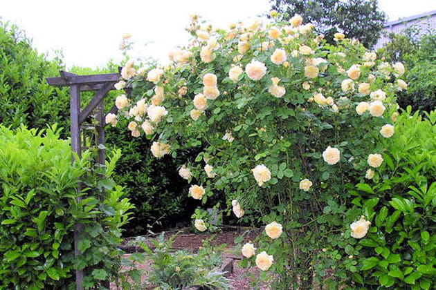 Cr&eacute;er des ruptures