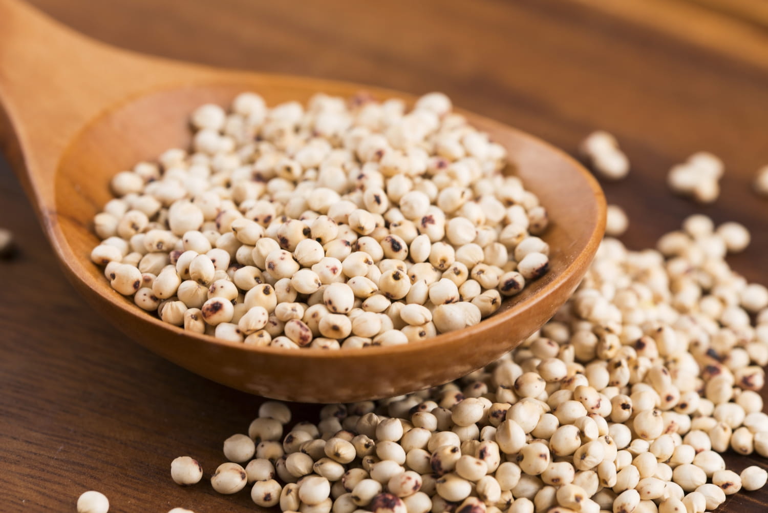 Sorgho : sans gluten, farine, utilisationSorgho