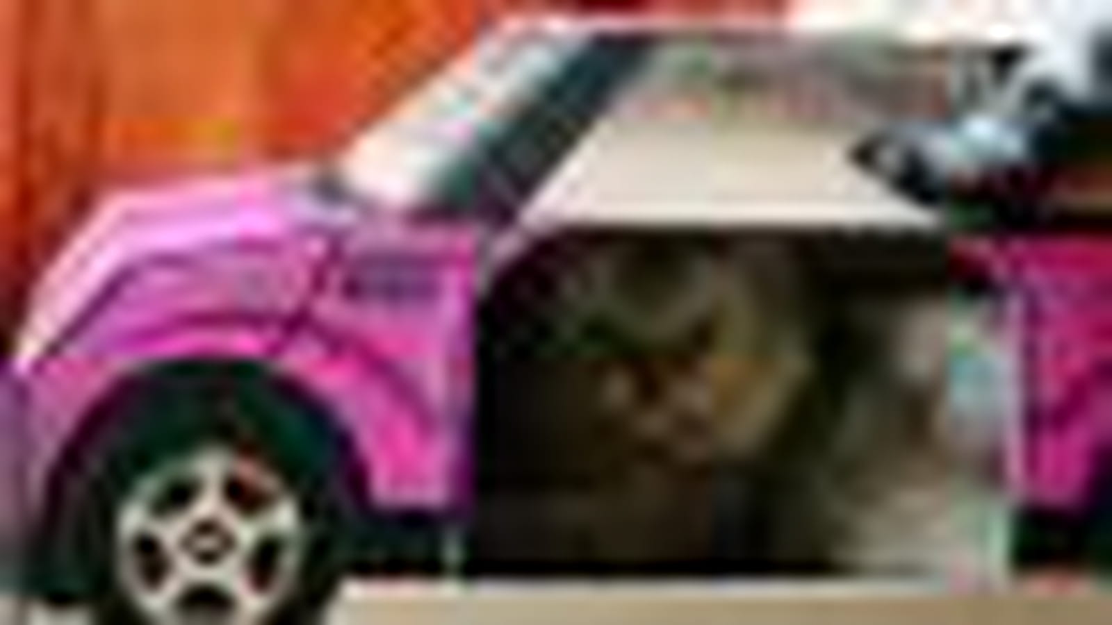 Voiture pour chat