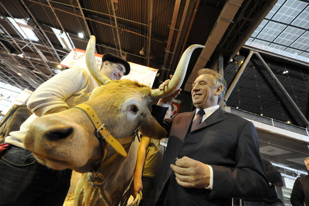 Ce n'est pas la vache qui rit, mais François Bayrou