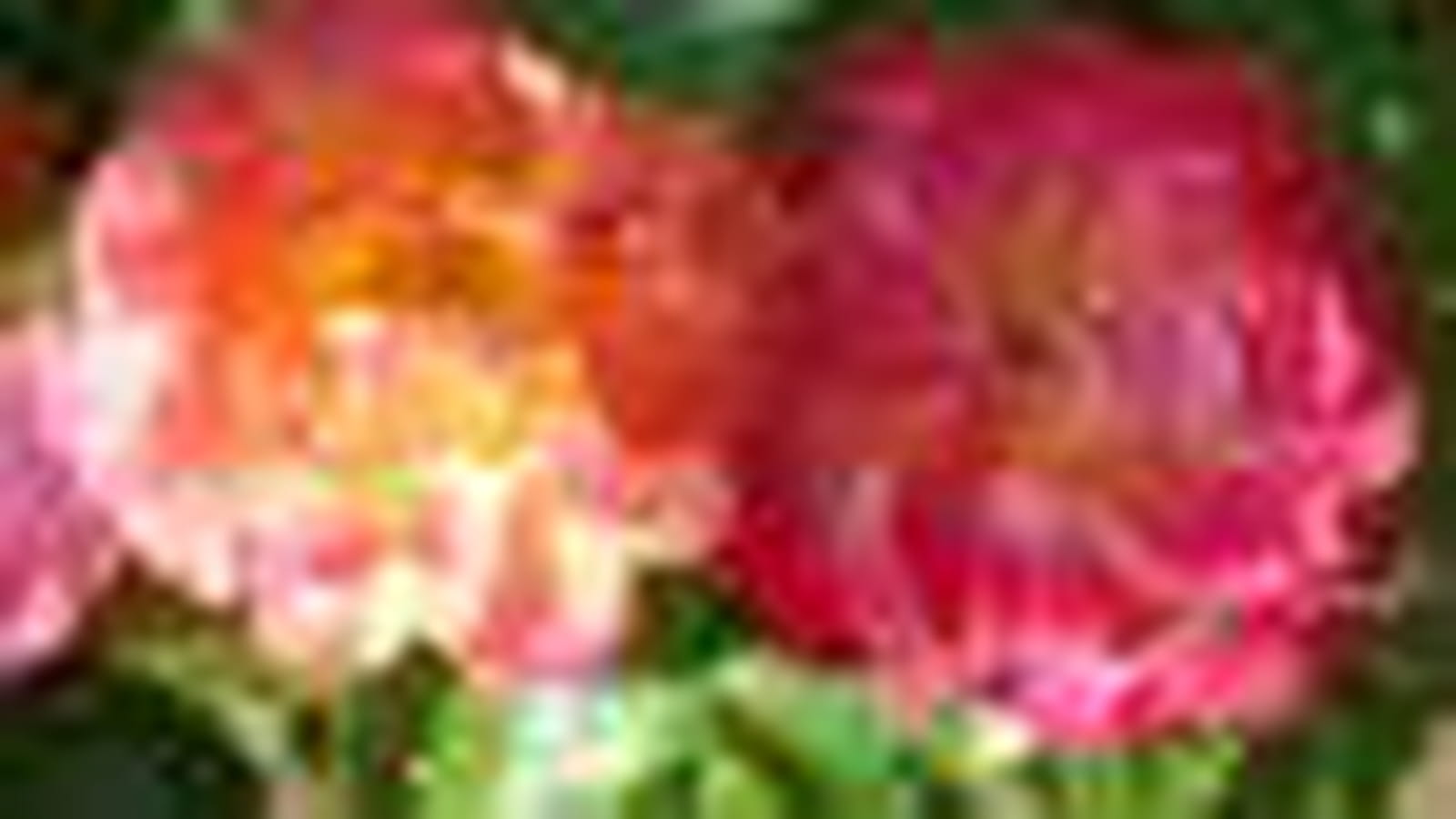 Decor arlequin®