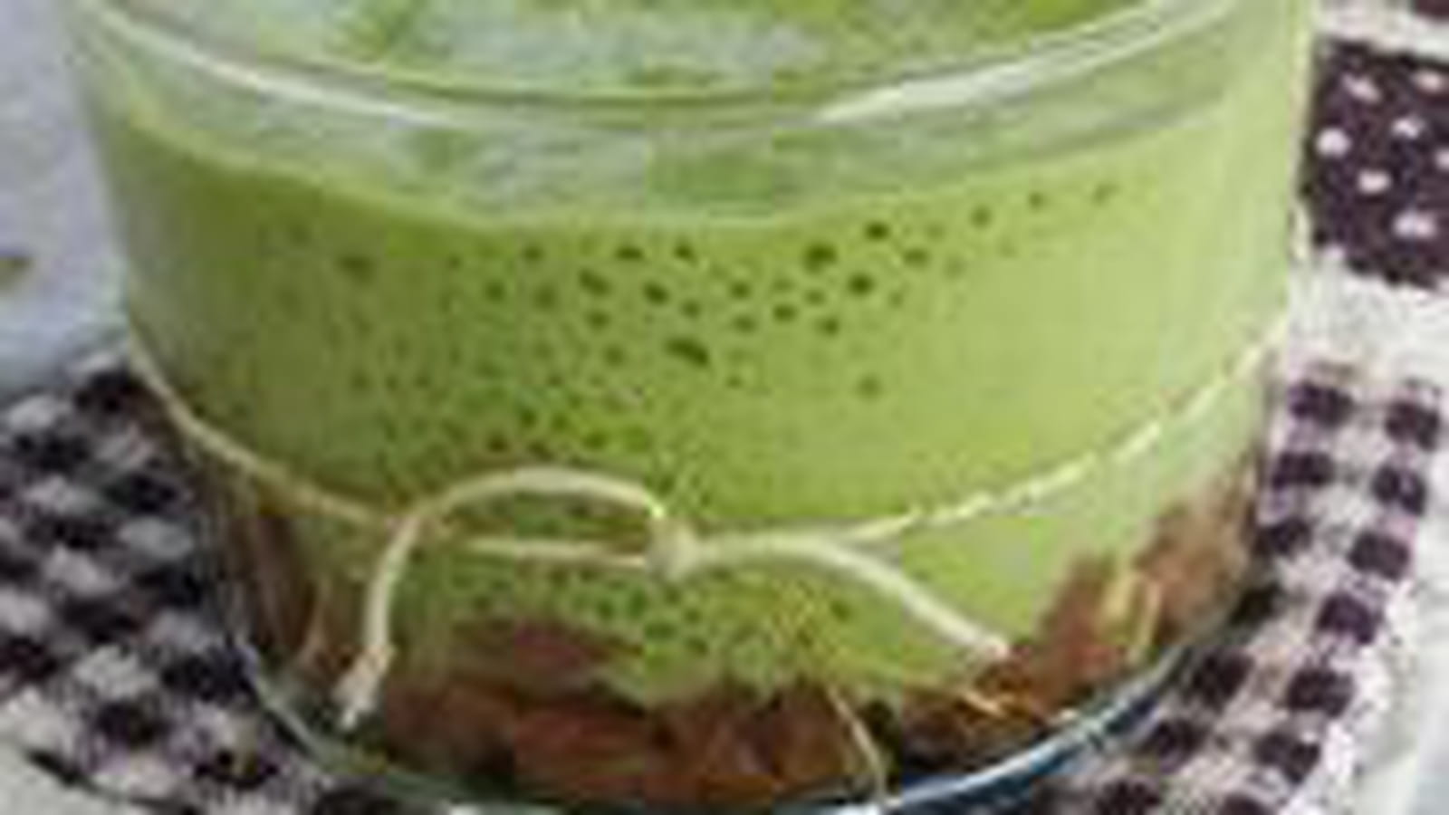 Mousse de fèves sur tartare de canard à l'orange