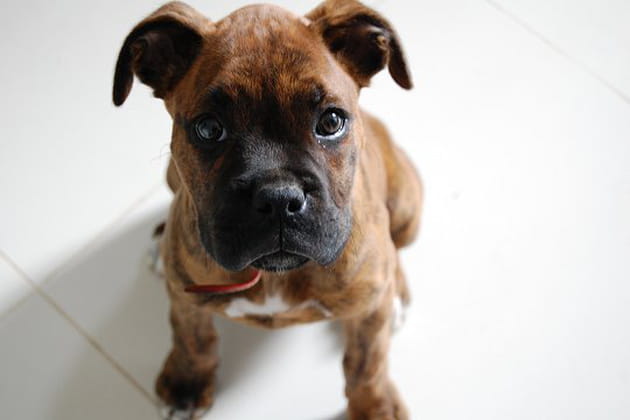 Asie &agrave; l'envers