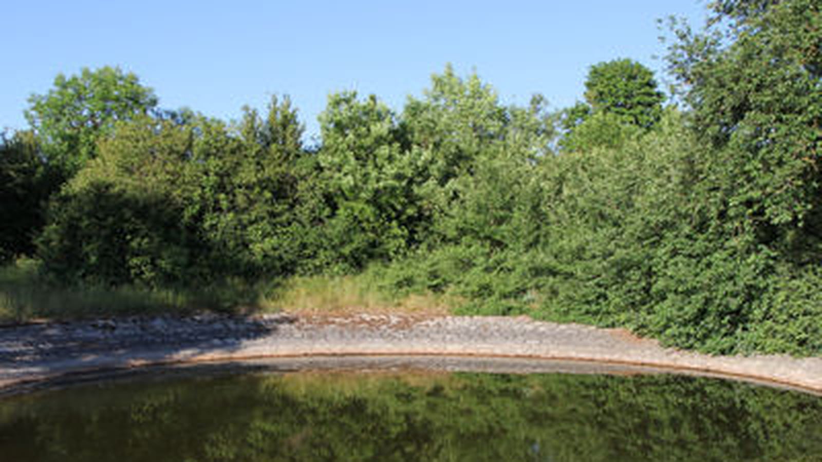 La lavogne