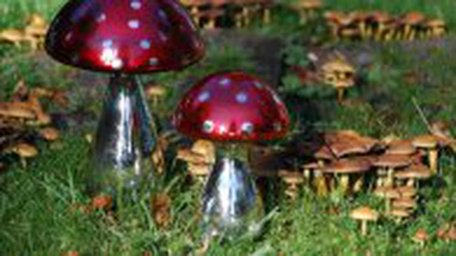 Champignons décoratifs