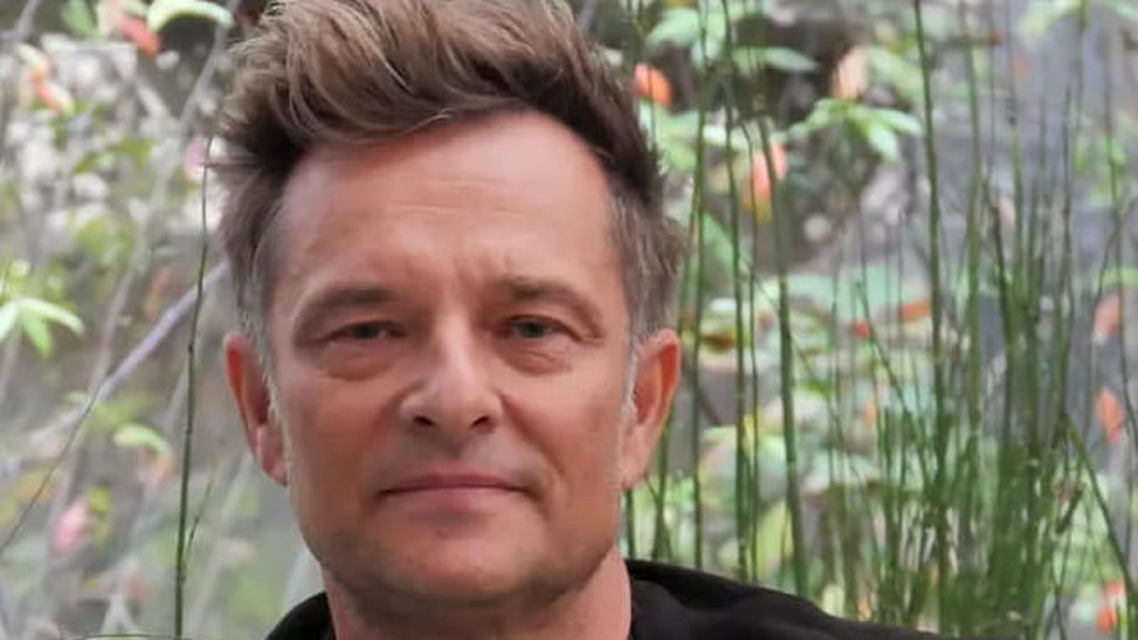 David Hallyday