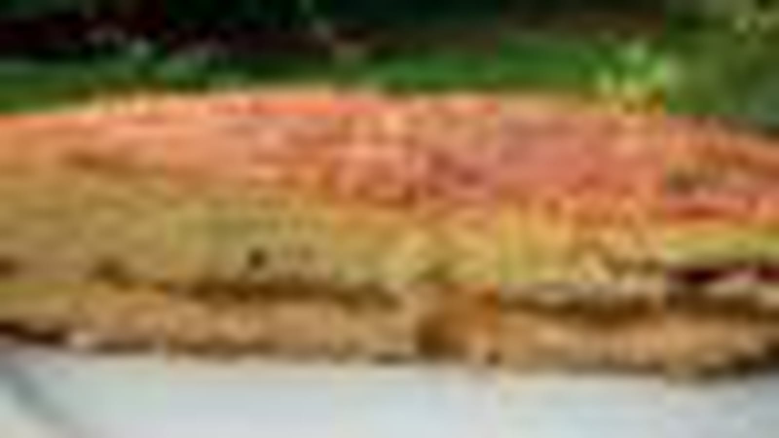 Gâteau