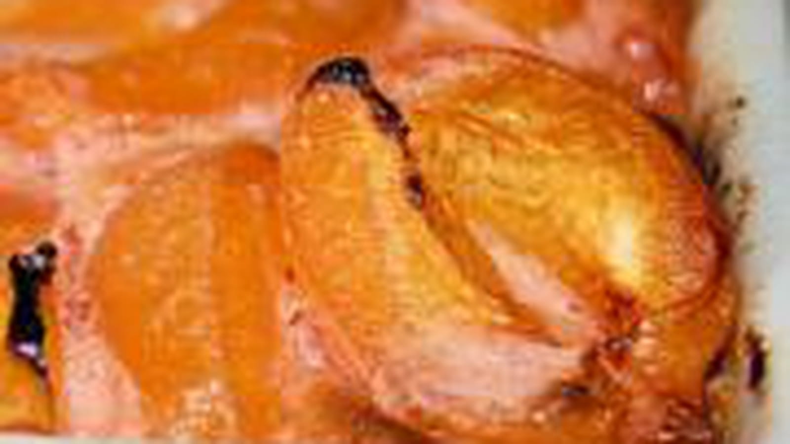 Clafoutis aux abricots