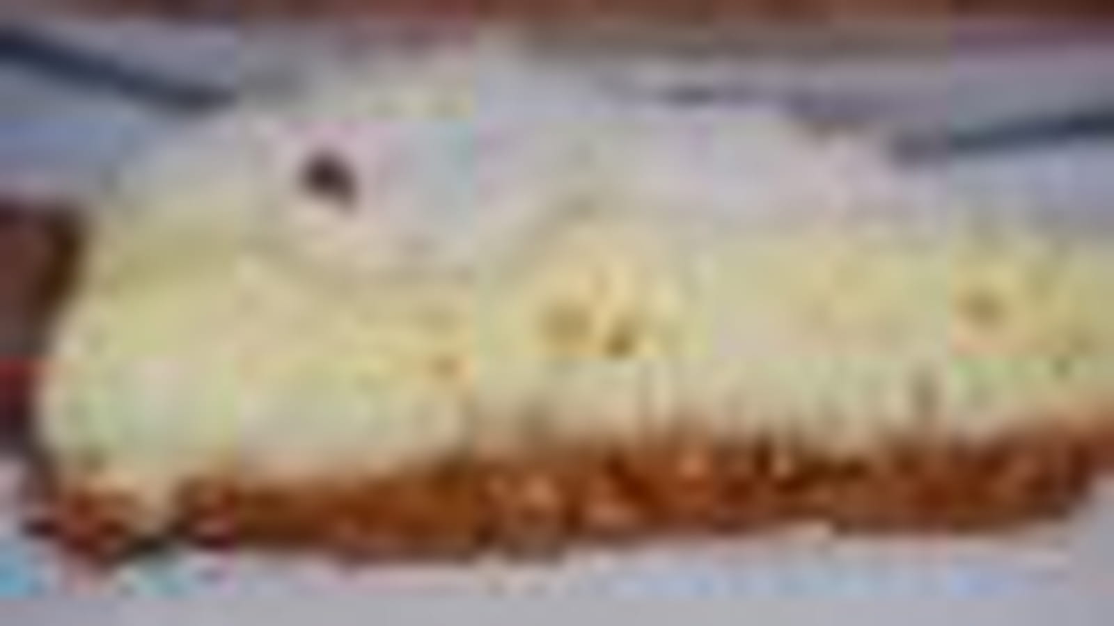 Tarte