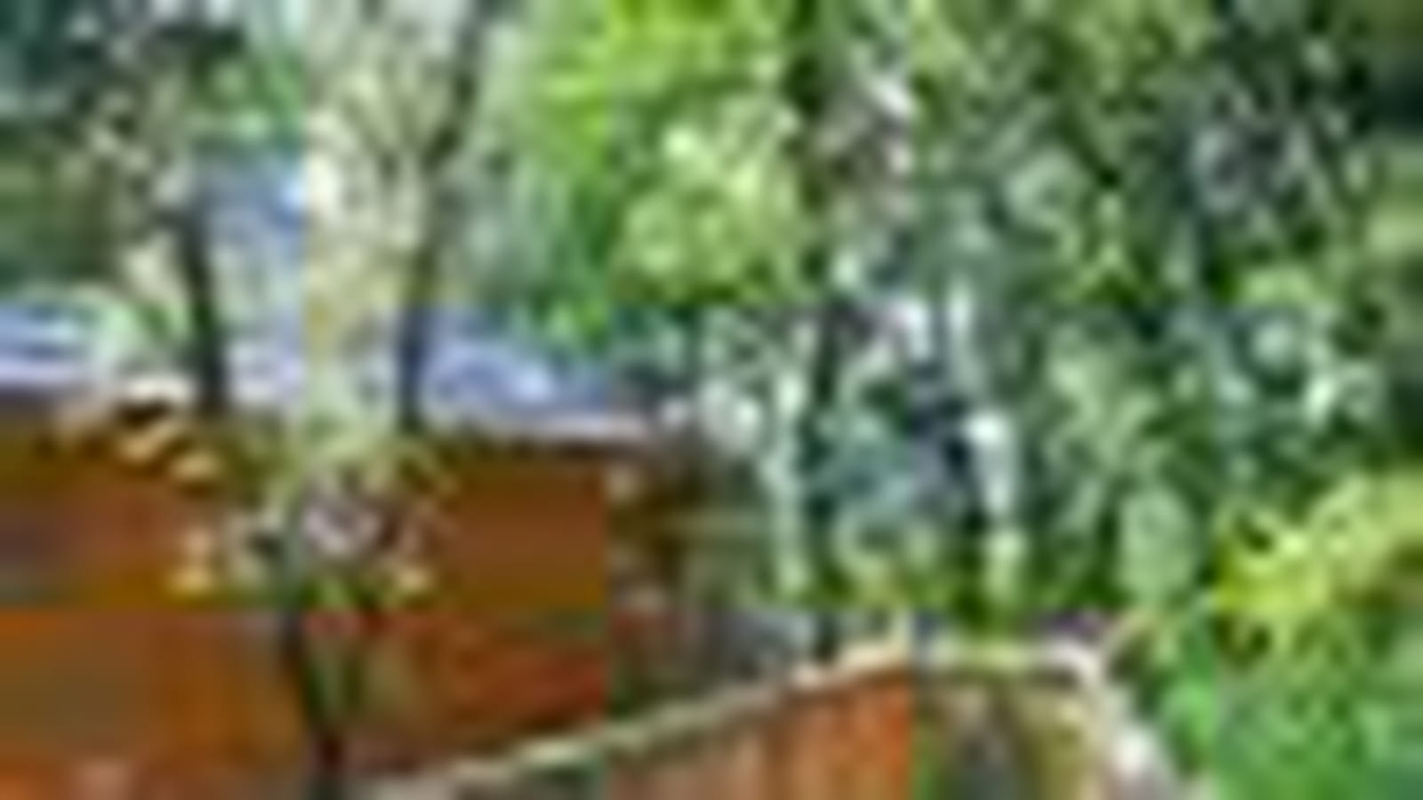 Cabane