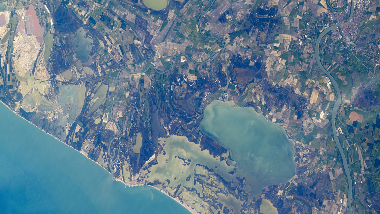 Camargue