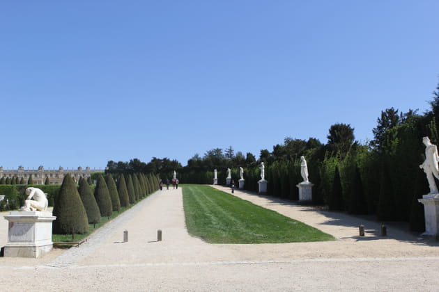 Descente vers les bosquets