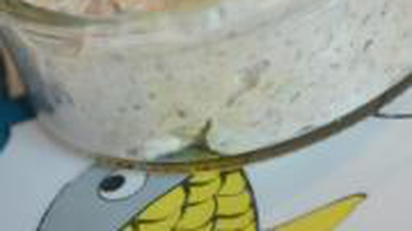 Rillettes de sardines