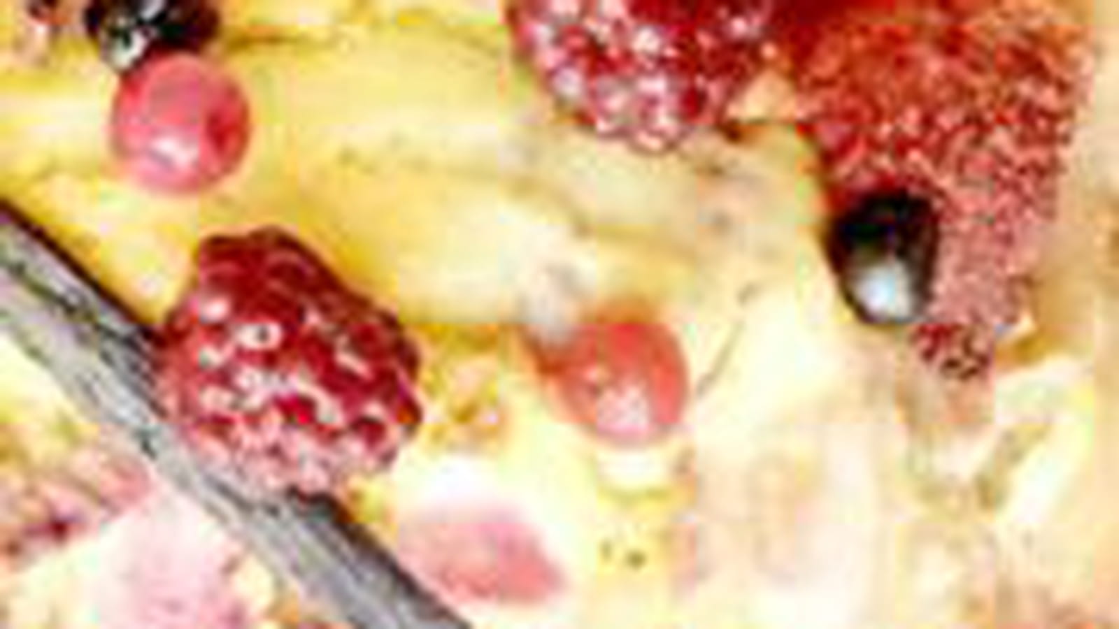 Cake vanille aux pommes et fruits rouges