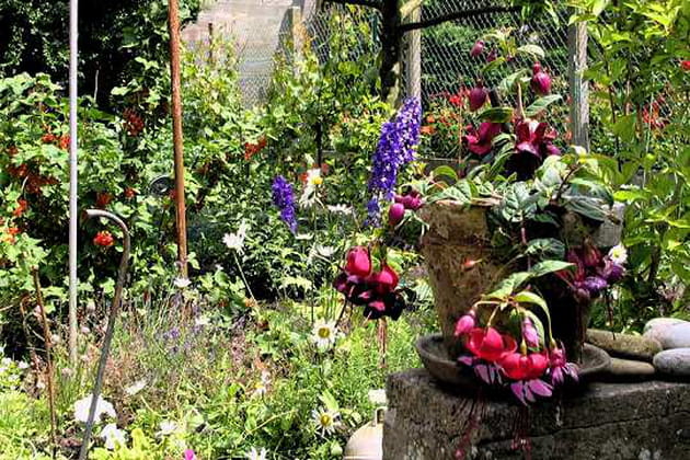 A manger et &agrave; voir