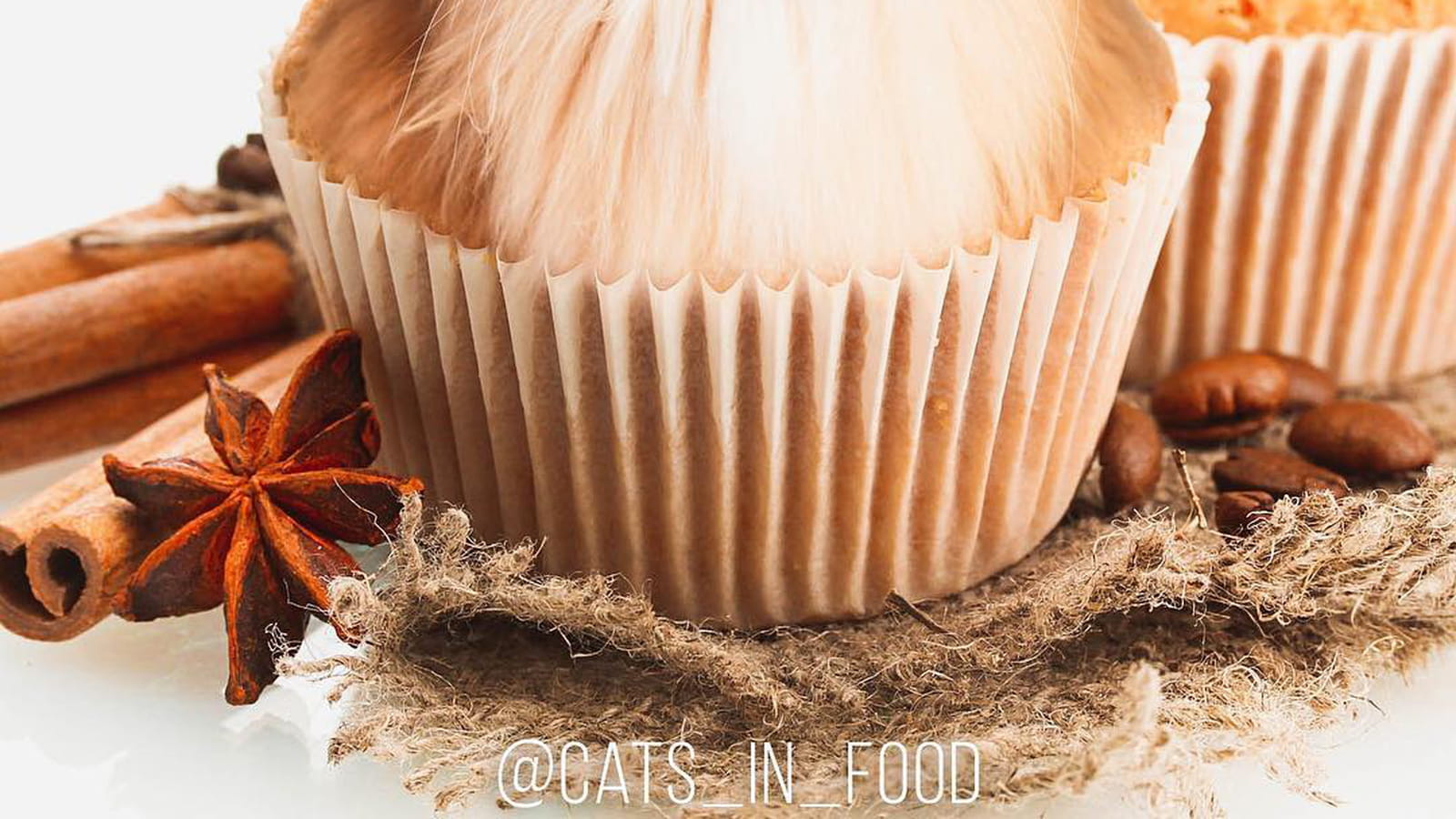 Doux muffins