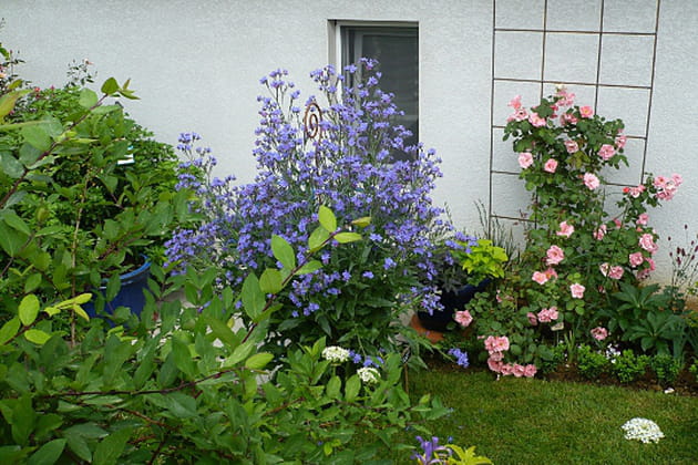 Le bon jardinier fait fi du climat
