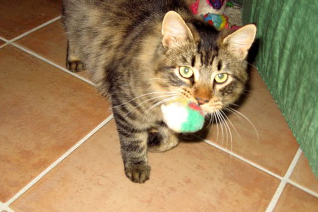 Une balle unique en son genre