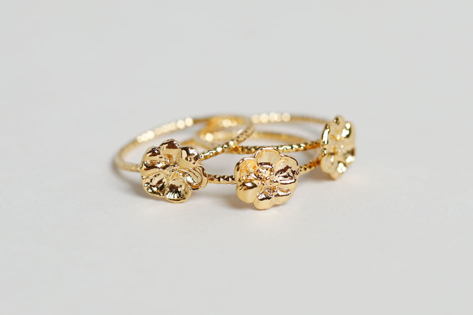 Bague Simone N&deg;2, Les Cardinales